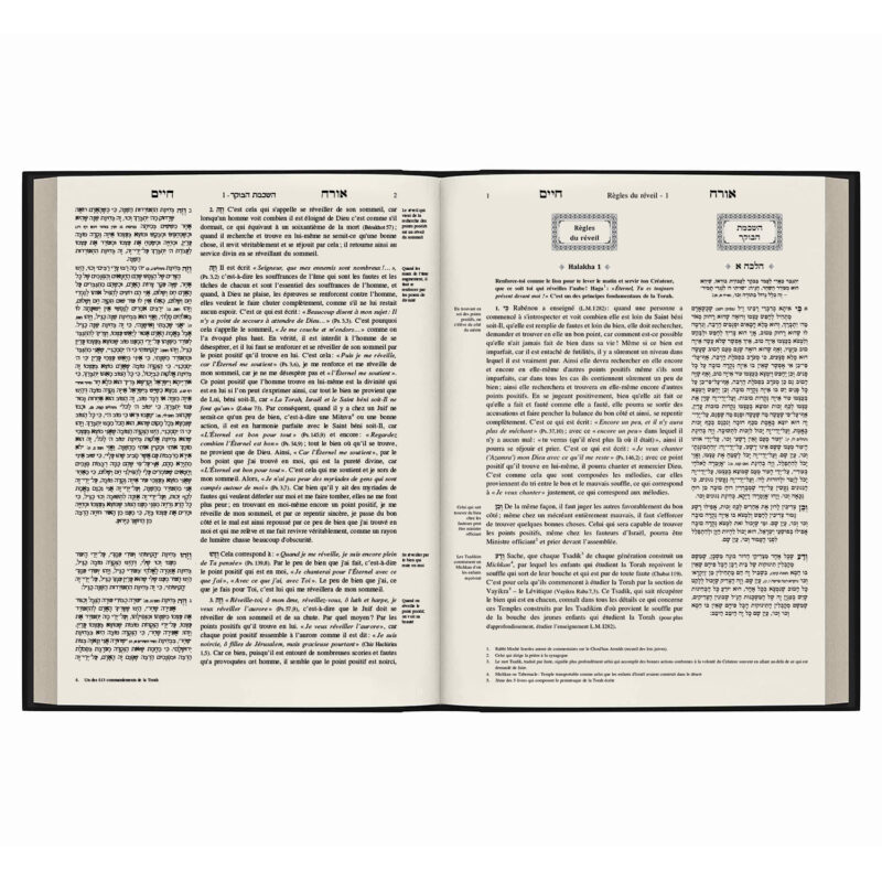 Likouté Halakhot - Ora'h 'Haim 1 (Grand Format) – Image 6