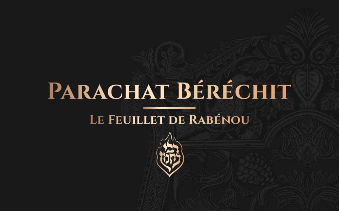 Parachat Béréchit – Rabénou est la Vérité Absolue