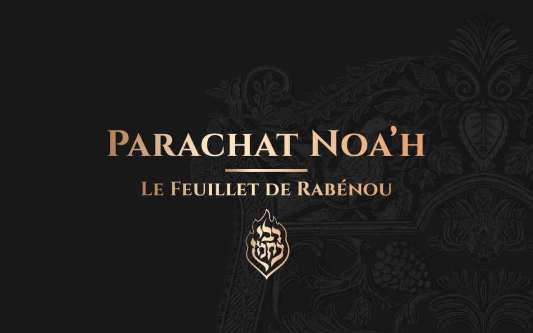 Parachat Noa’h – Le Tsadik est l’arche du Peuple Juif