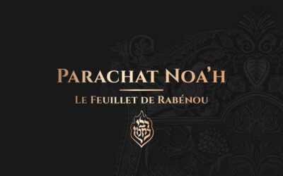 Parachat Noa’h – Le Tsadik est l’arche du Peuple Juif