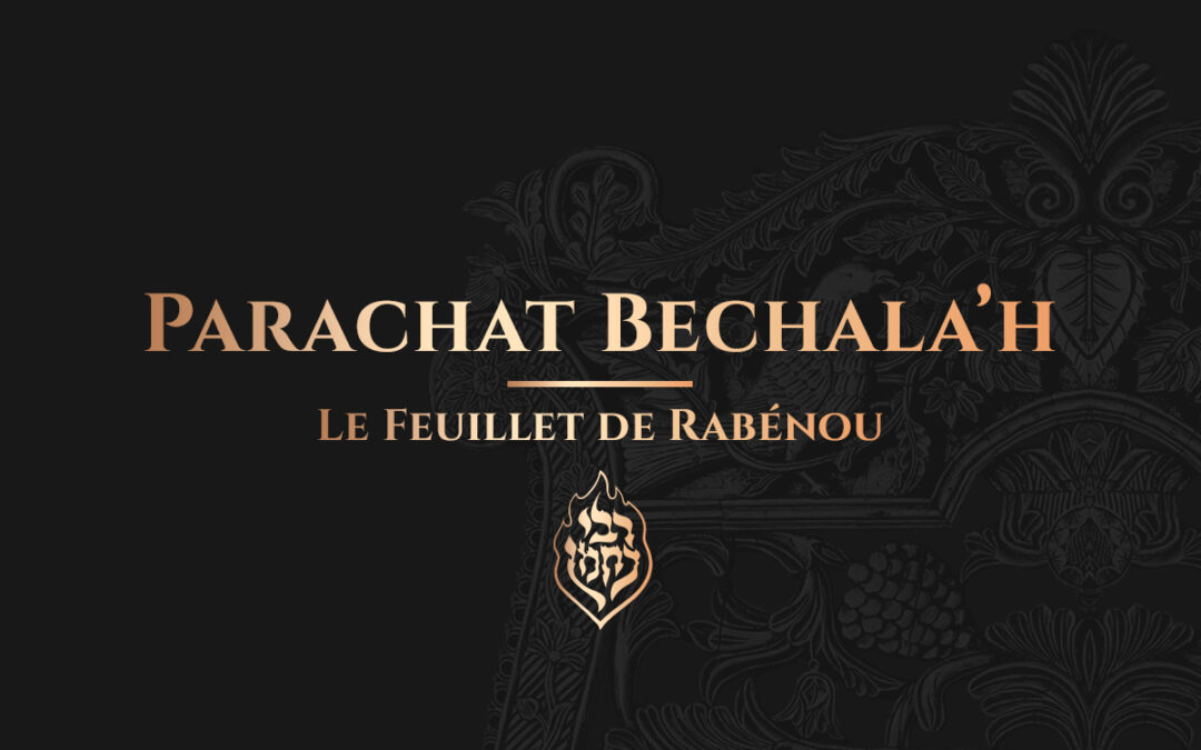 Bechala’h – Toujours espérer en Hachem et dans le Tsadik