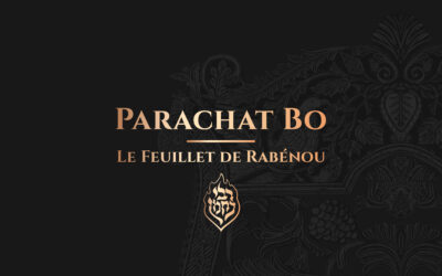 Bo – Seul Rabénou peut entrer dans l’Espace Vacant