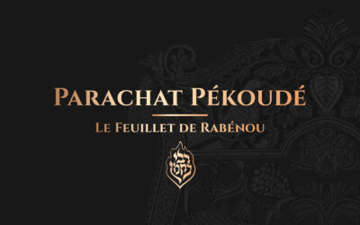 Pékoudé – Les Tsadikim représentent le Michkan (Tabernacle)