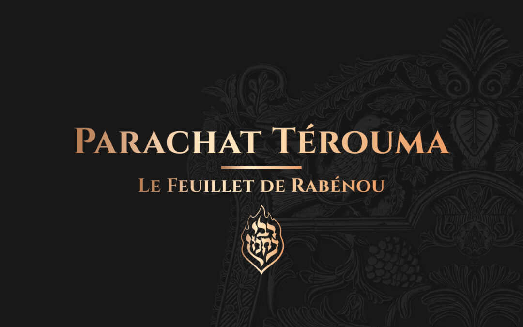 Térouma – Toujours espérer dans le pouvoir de la prière