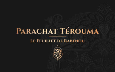 Térouma – Toujours espérer dans le pouvoir de la prière