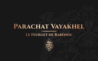 Vayakhel (Chabbat Para) – Le Tsadik symbolise la vache rousse qui purifie