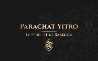 Yitro – Savoir à chaque fois recommencer à Zéro