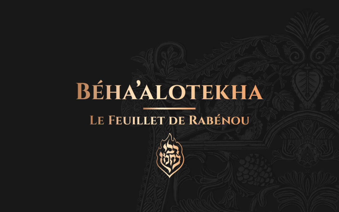 Béha’alotekha: La Manne c’est la Confiance en Hachem