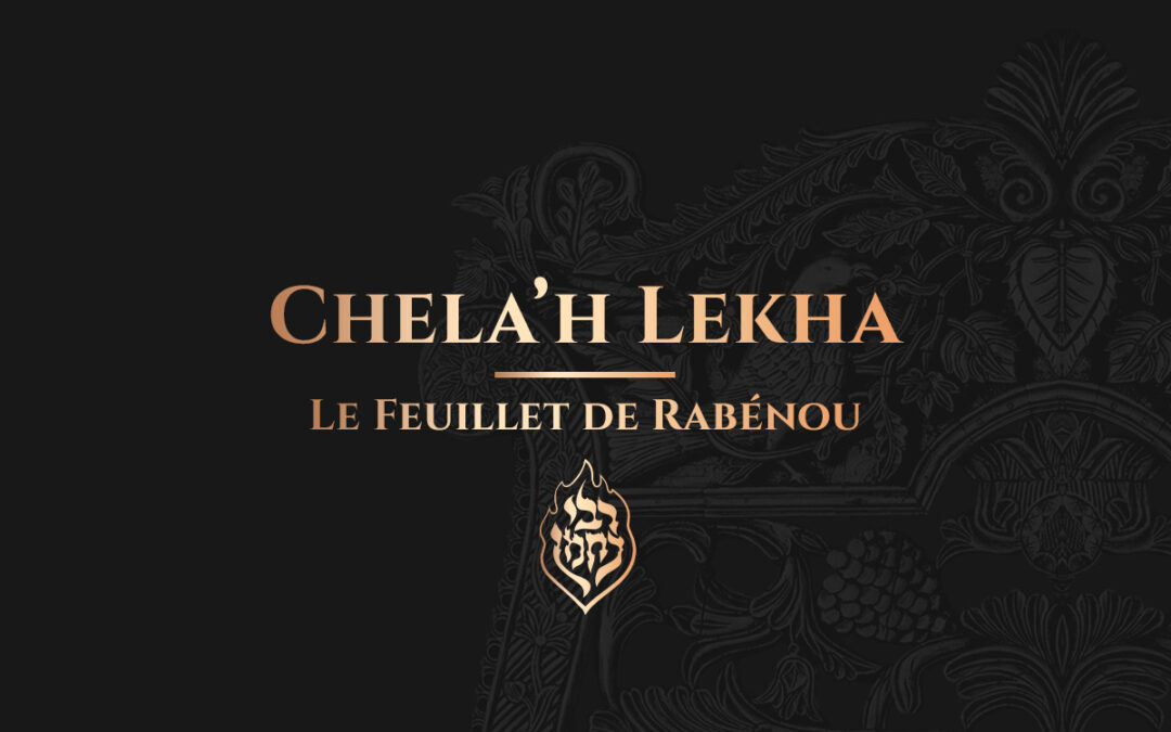Chela’h Lekha – Le Feuillet de Rabénou