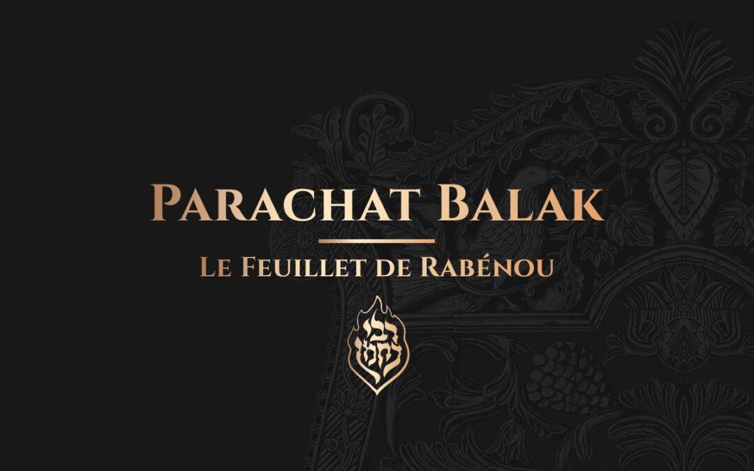 Parachat Balak – Le Feuillet de Rabénou