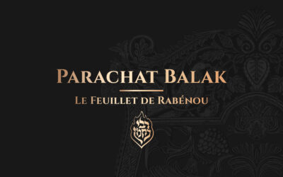 Parachat Balak – Le Feuillet de Rabénou