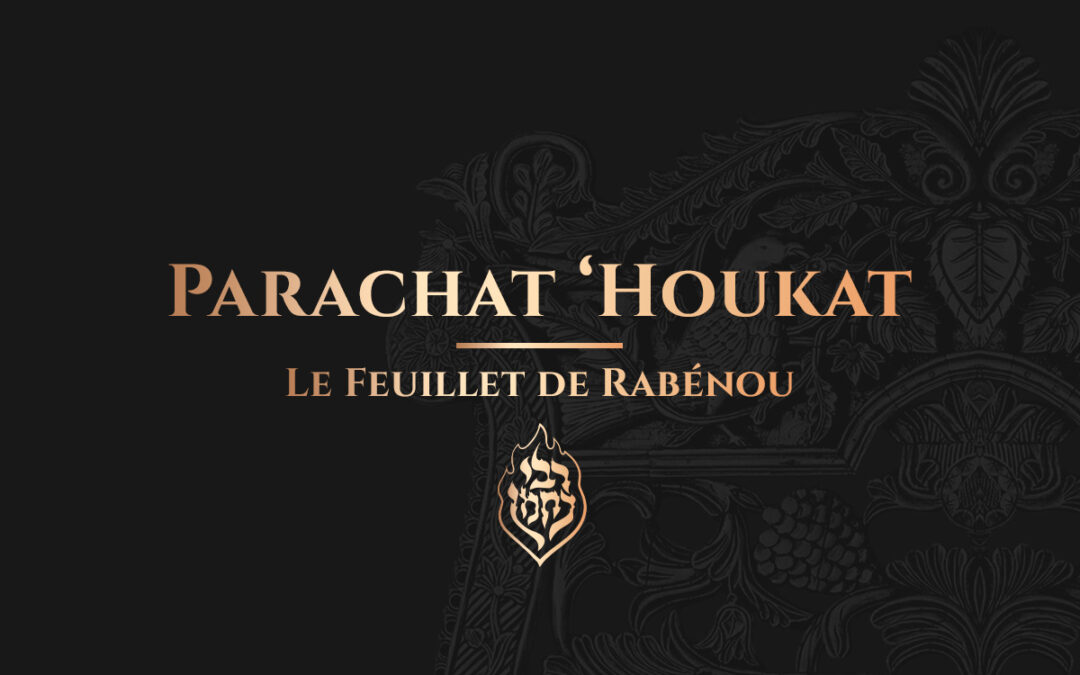 Parachat ‘Houkat – Le Tsadik symbolise la Vache Rousse qui purifie le Monde.