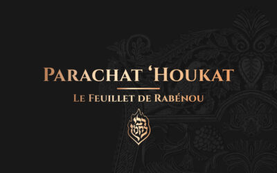 Parachat ‘Houkat – Le Tsadik symbolise la Vache Rousse qui purifie le Monde.