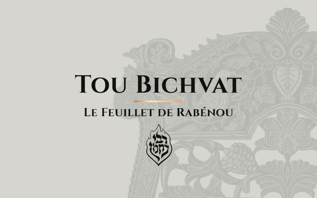 Tou Bichvat: Le Tsadik Symbolise le Etrog