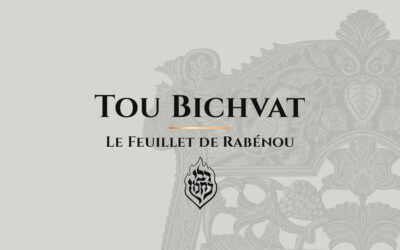 Tou Bichvat: Le Tsadik Symbolise le Etrog
