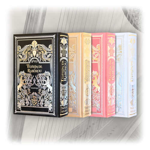 Téhilim de Rabénou Hébreu-Phonétique - Petit Format